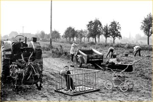 Ernteinsatz in Schönbach