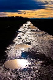 Feldweg Leisenau 2008